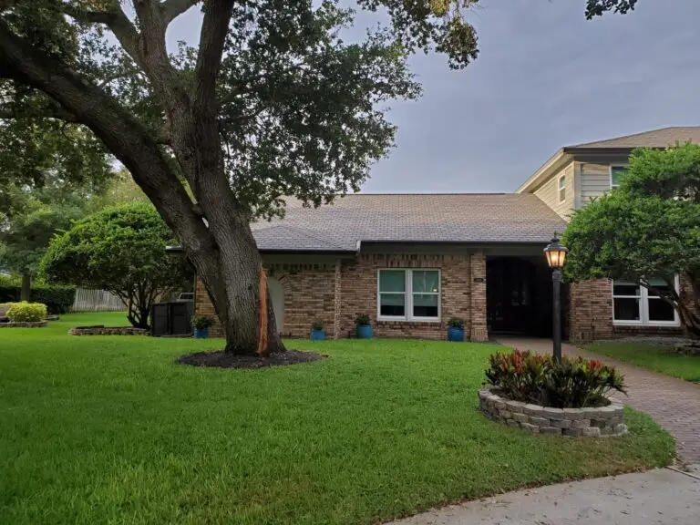 tree hit by lighting